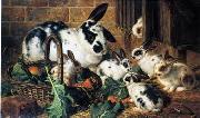 unknow artist, Rabbits 198